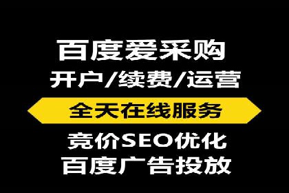 百度推广实战攻略：案例与技巧